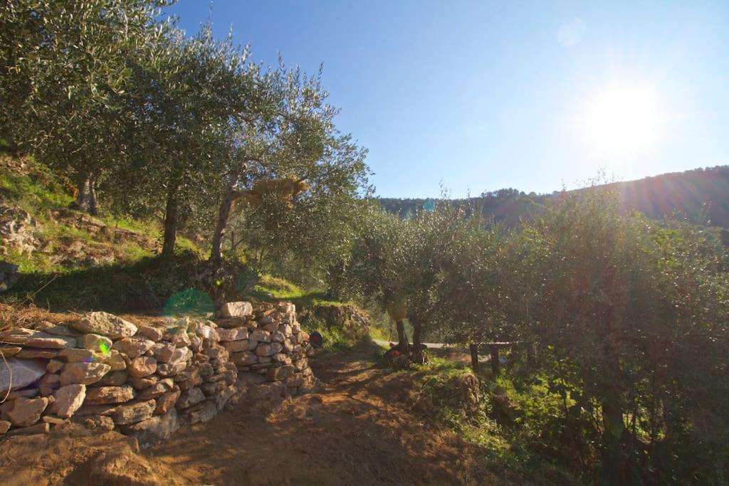 La Lucertola
