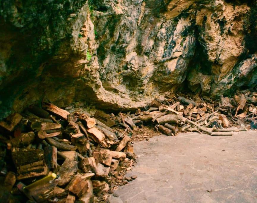 La Lucertola