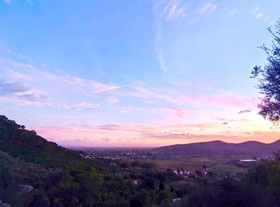 La Lucertola