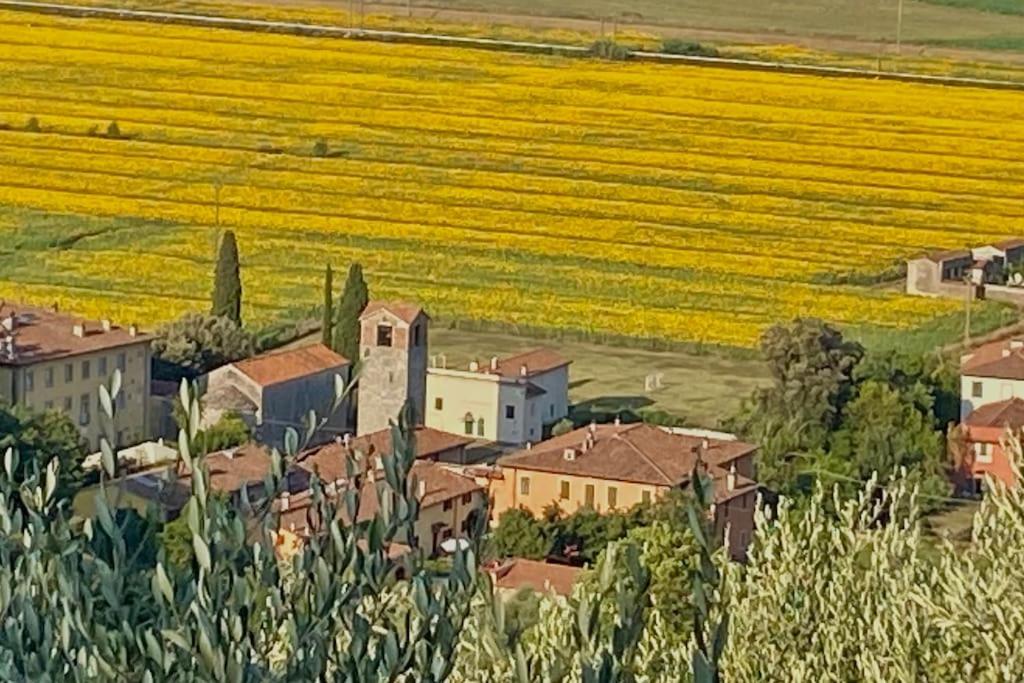 La Lucertola