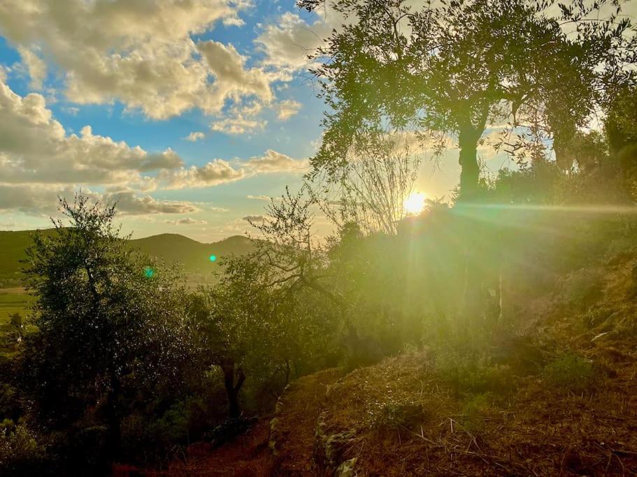 La Lucertola