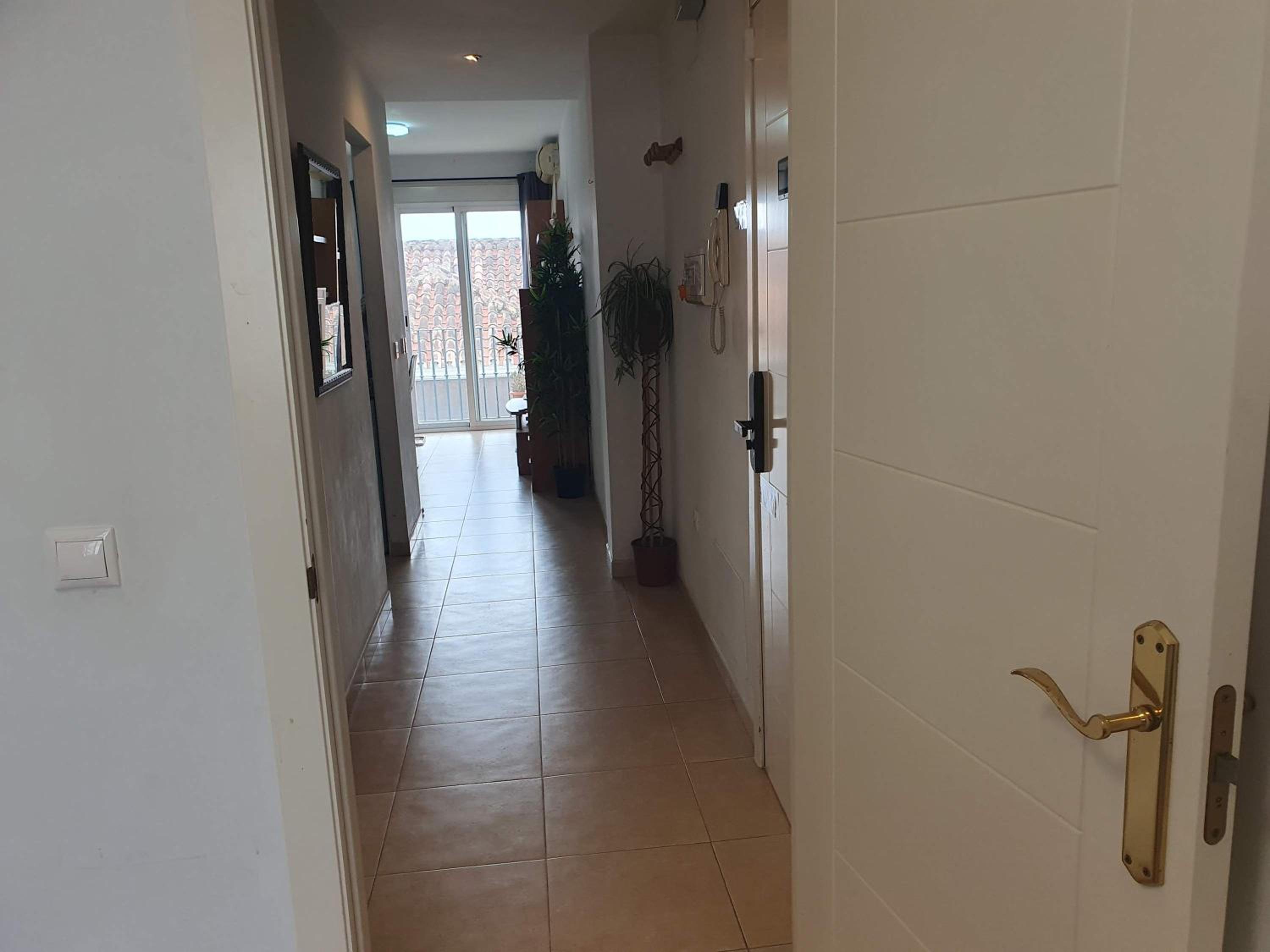 Apartamento cactus