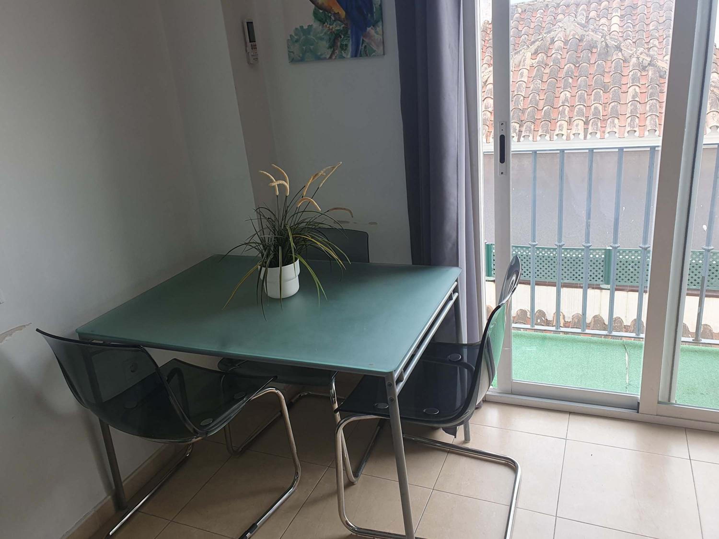 Apartamento cactus