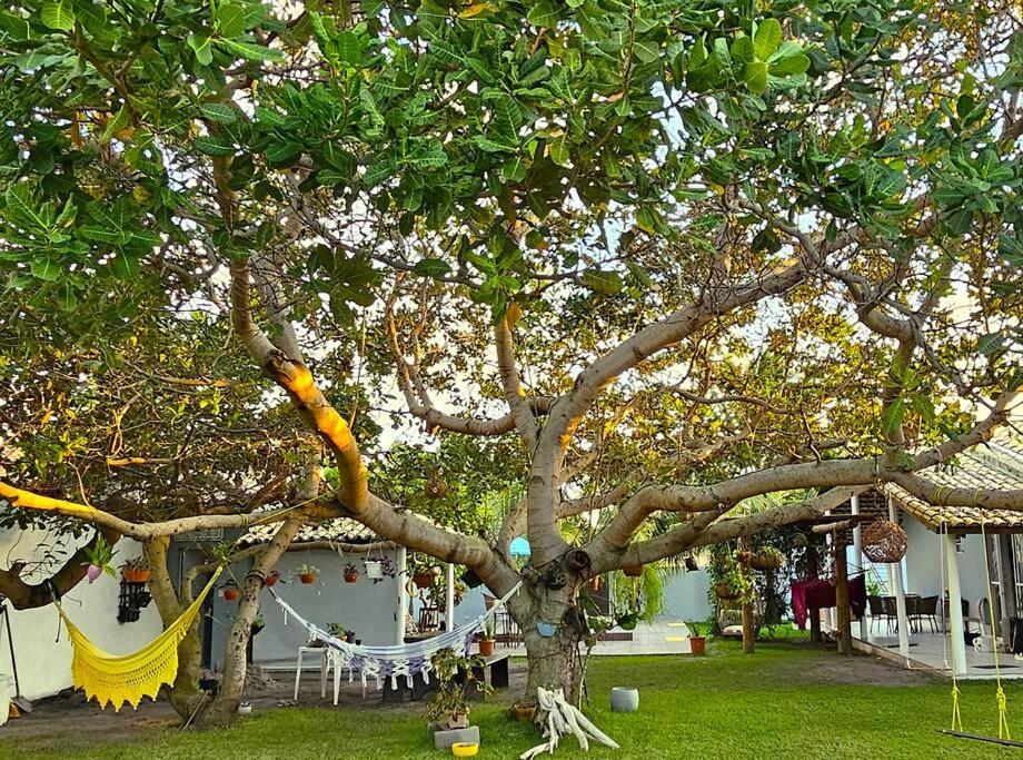 Paraíso dos Coqueiros - Casa Sabiá