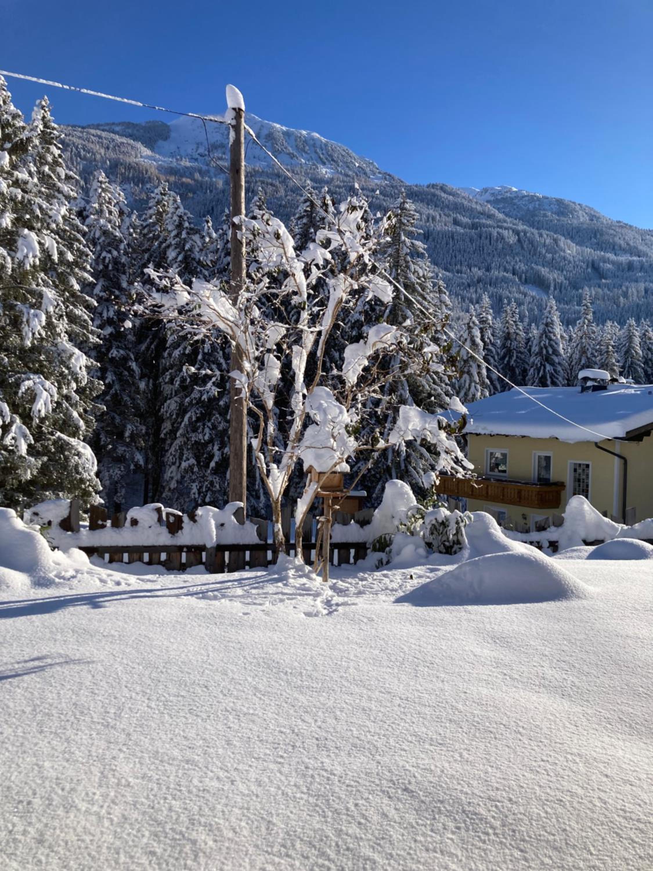 Naturchalet Pitztal
