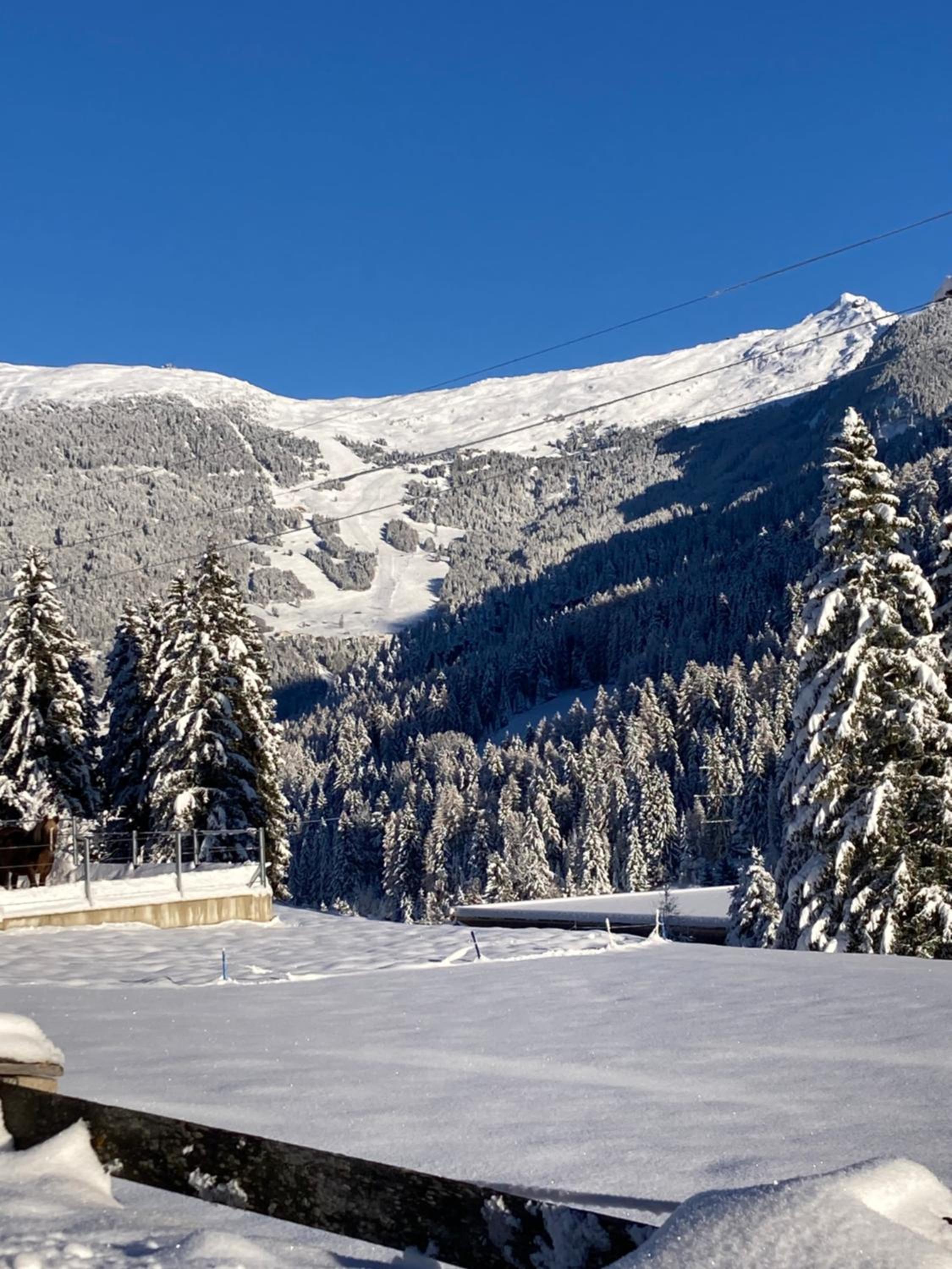 Naturchalet Pitztal