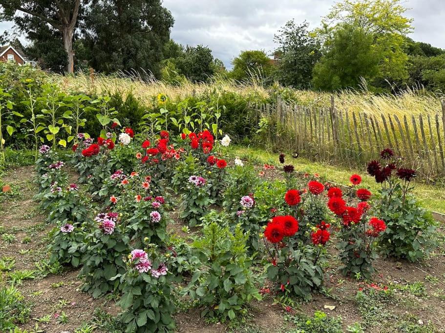 Painters Farm