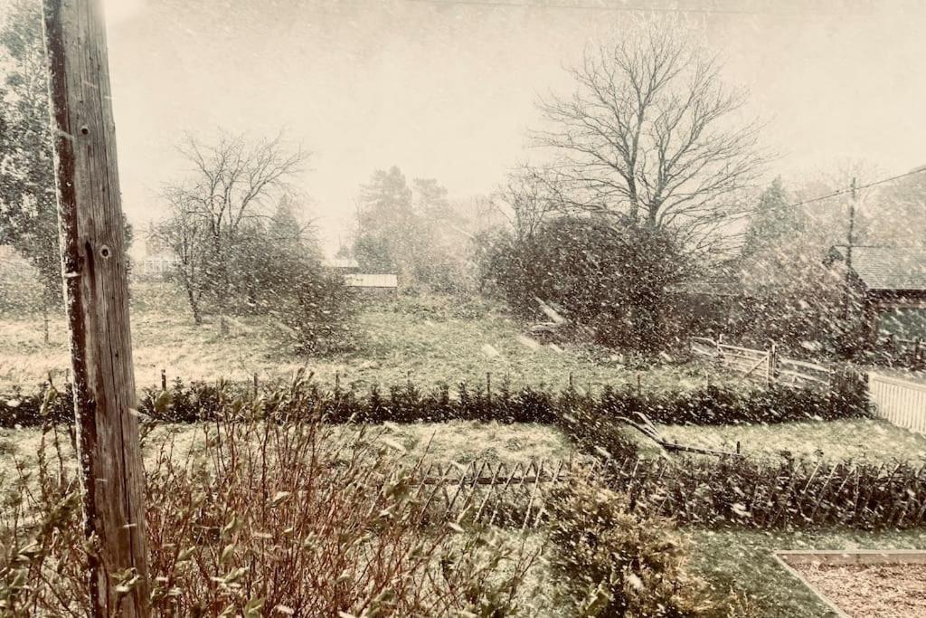Painters Farm