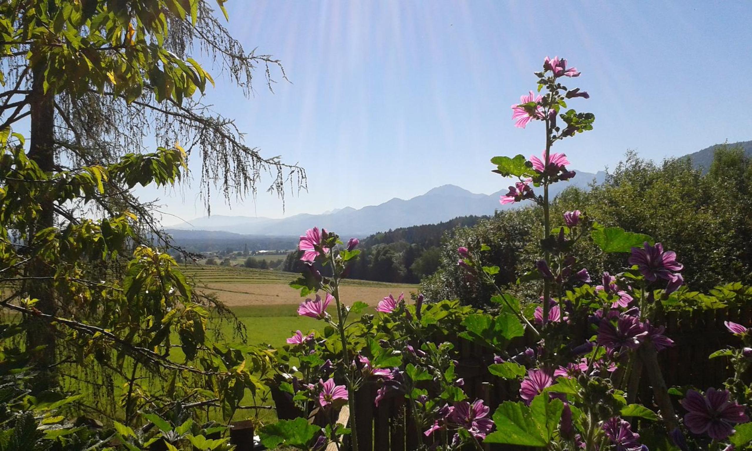 Schusterhof Urlaub auf dem Bauernhof