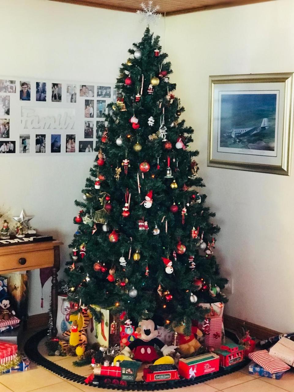 Photo 19