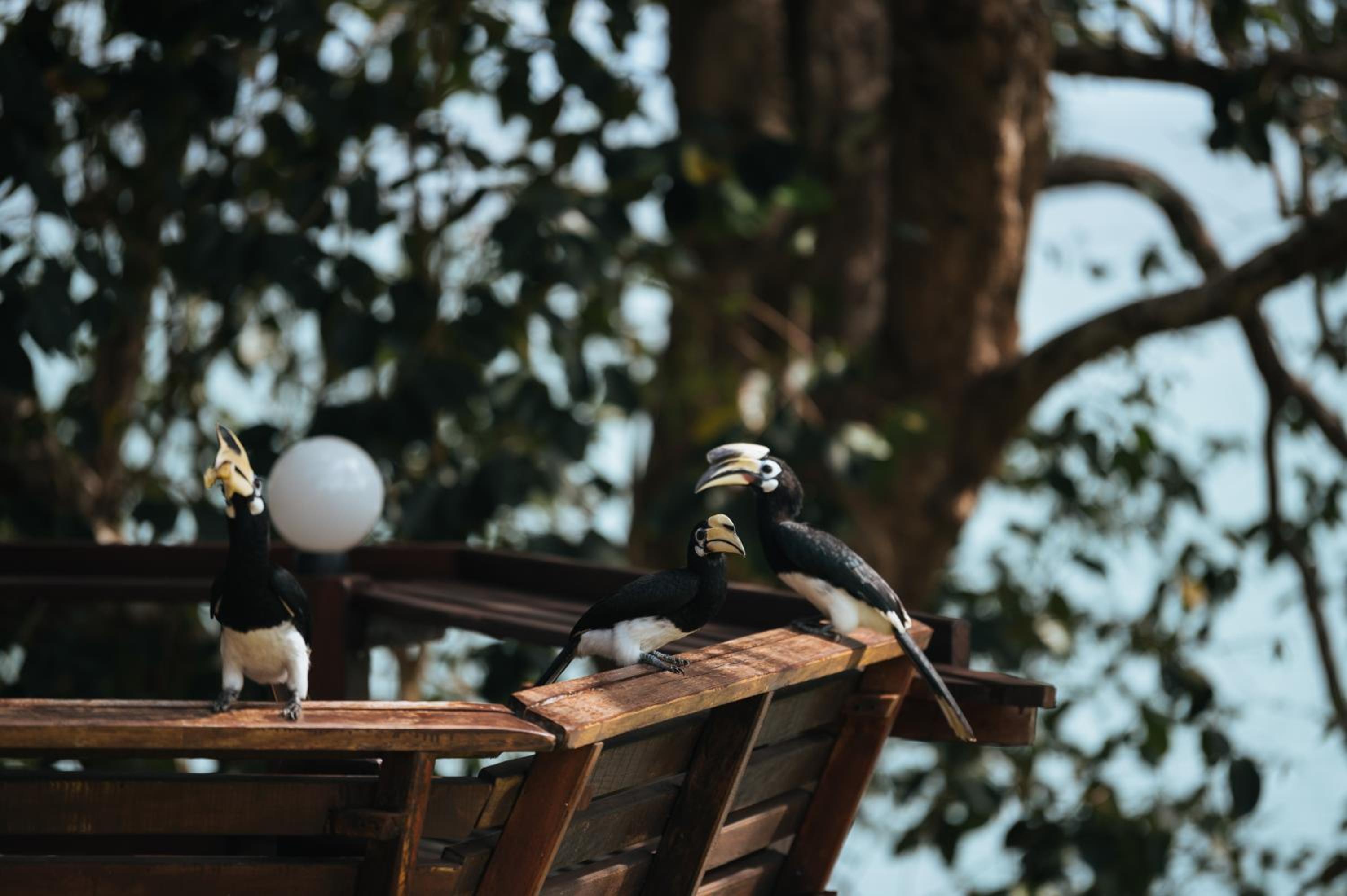 Phayamas Private Beach Resort and Island Brew - Adults Only
