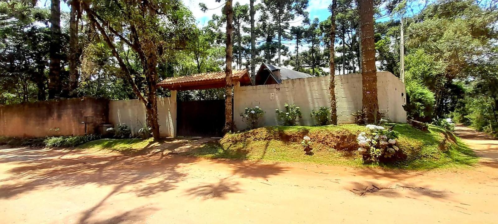 Bosque das Araucárias