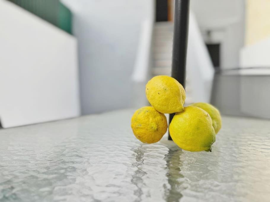Lemon Tree Studio with Patio view 2