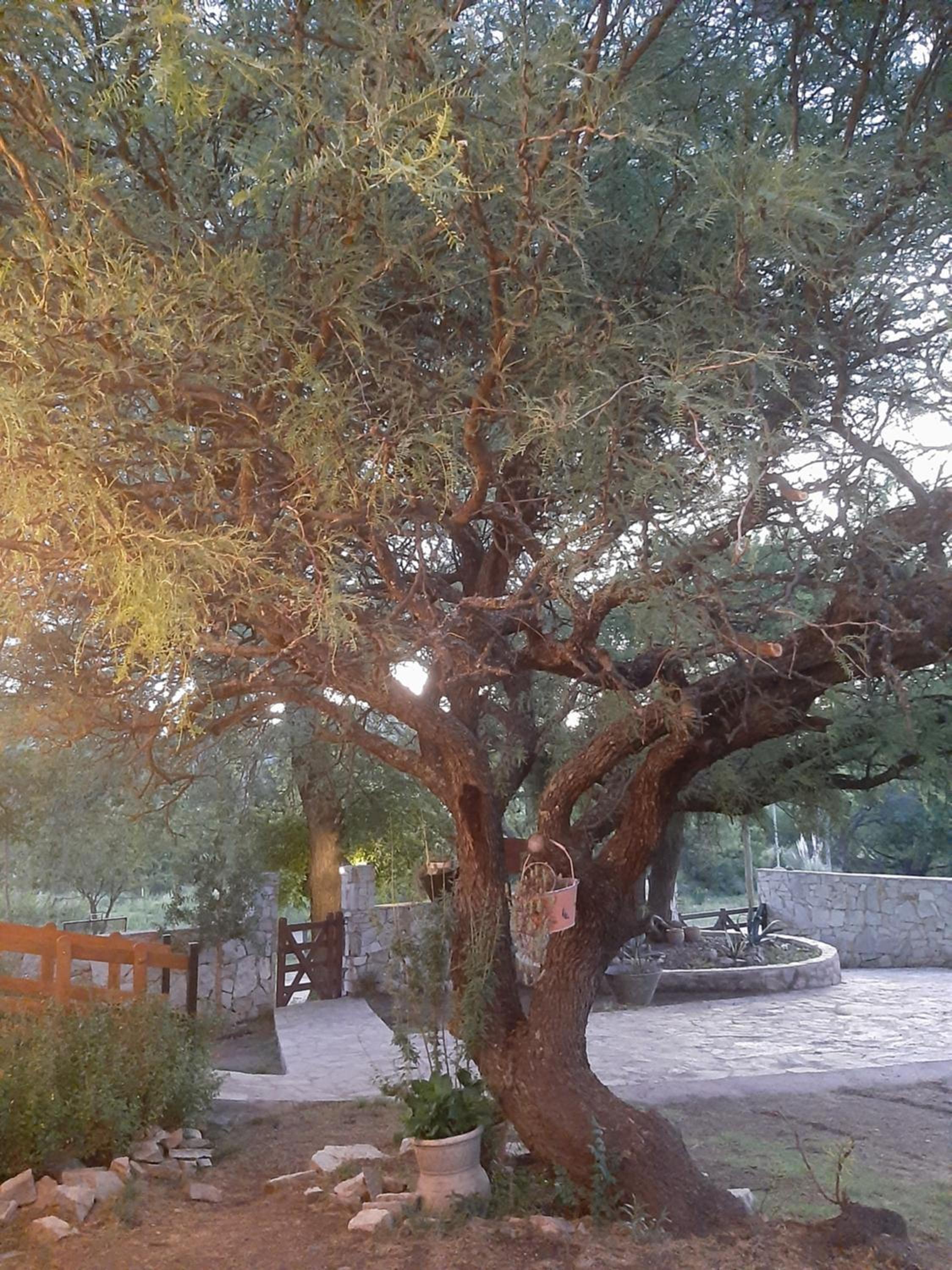 Cabañas de campo - Rancho Zamba Peperina