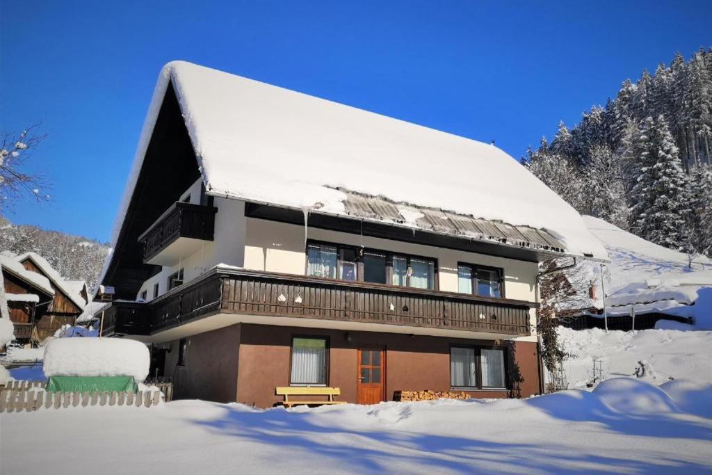 Hotel Apartma Andrej - Image 1