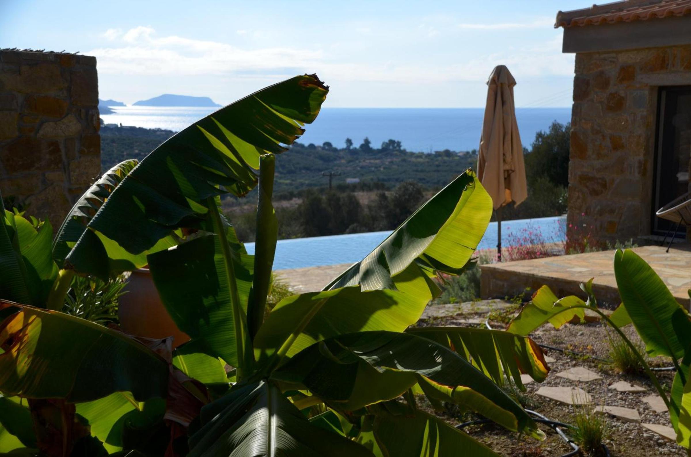 Finca Morea view 5