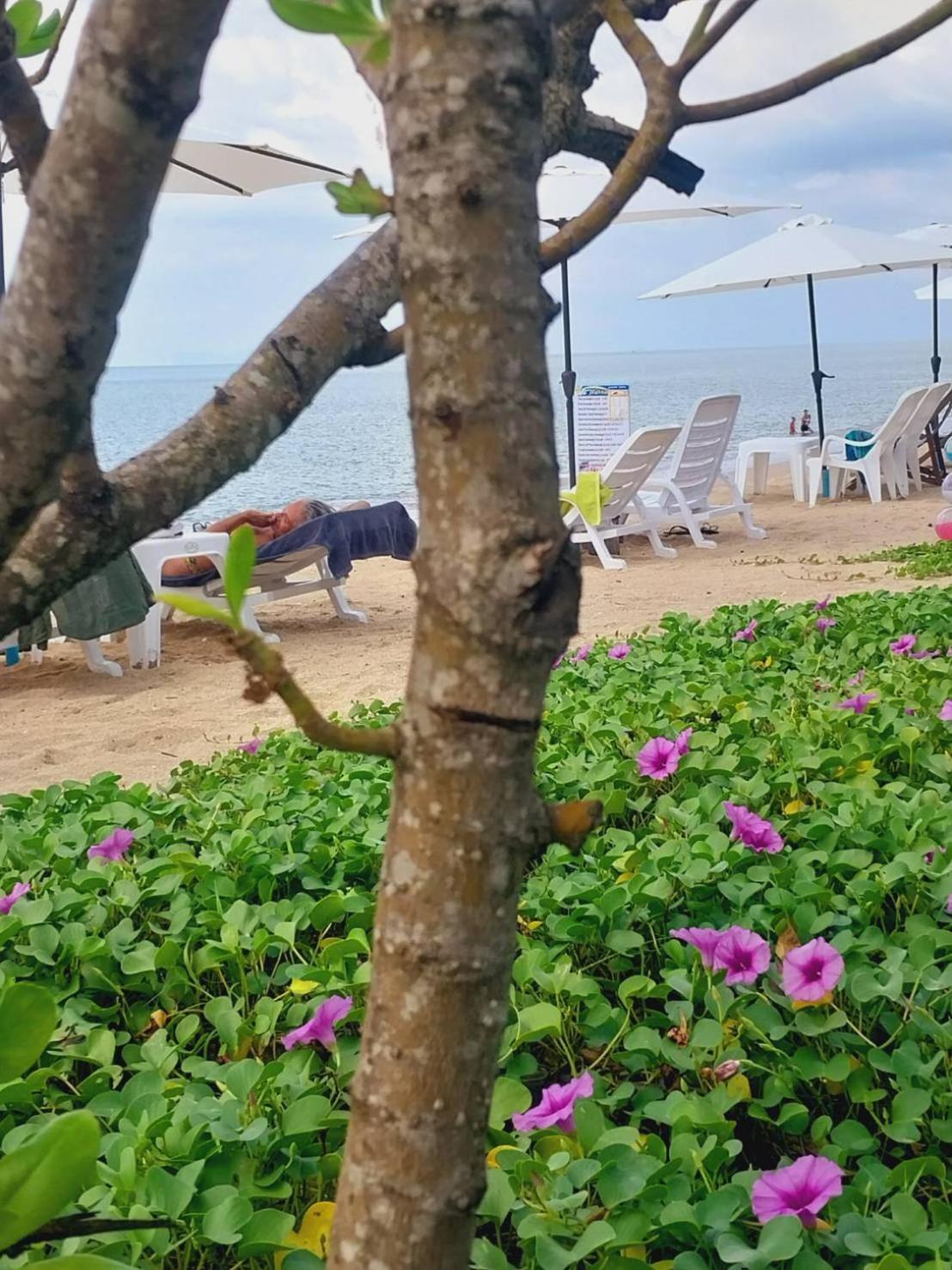 Walden Koh Lanta - Tiny Homes by the Sea