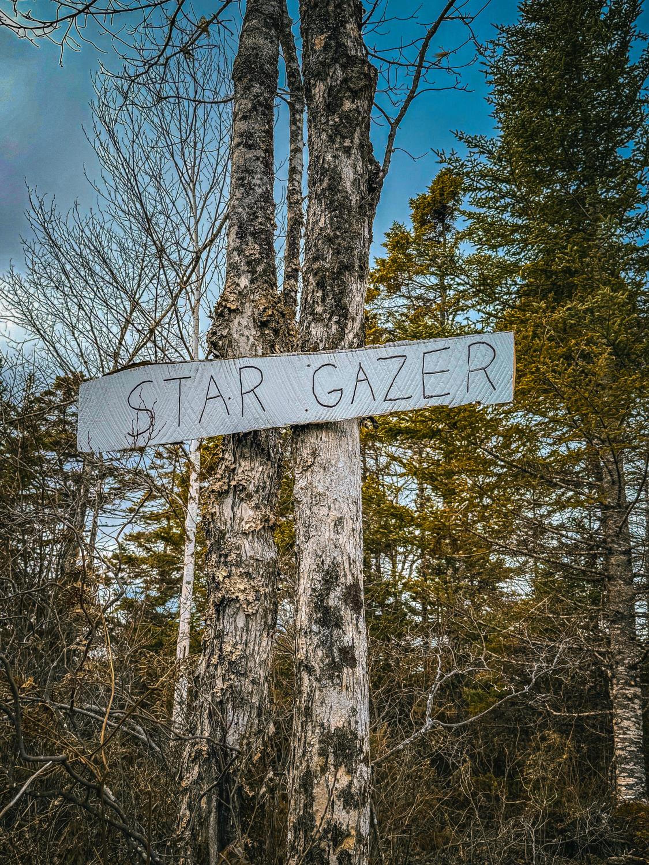 Porters Peak