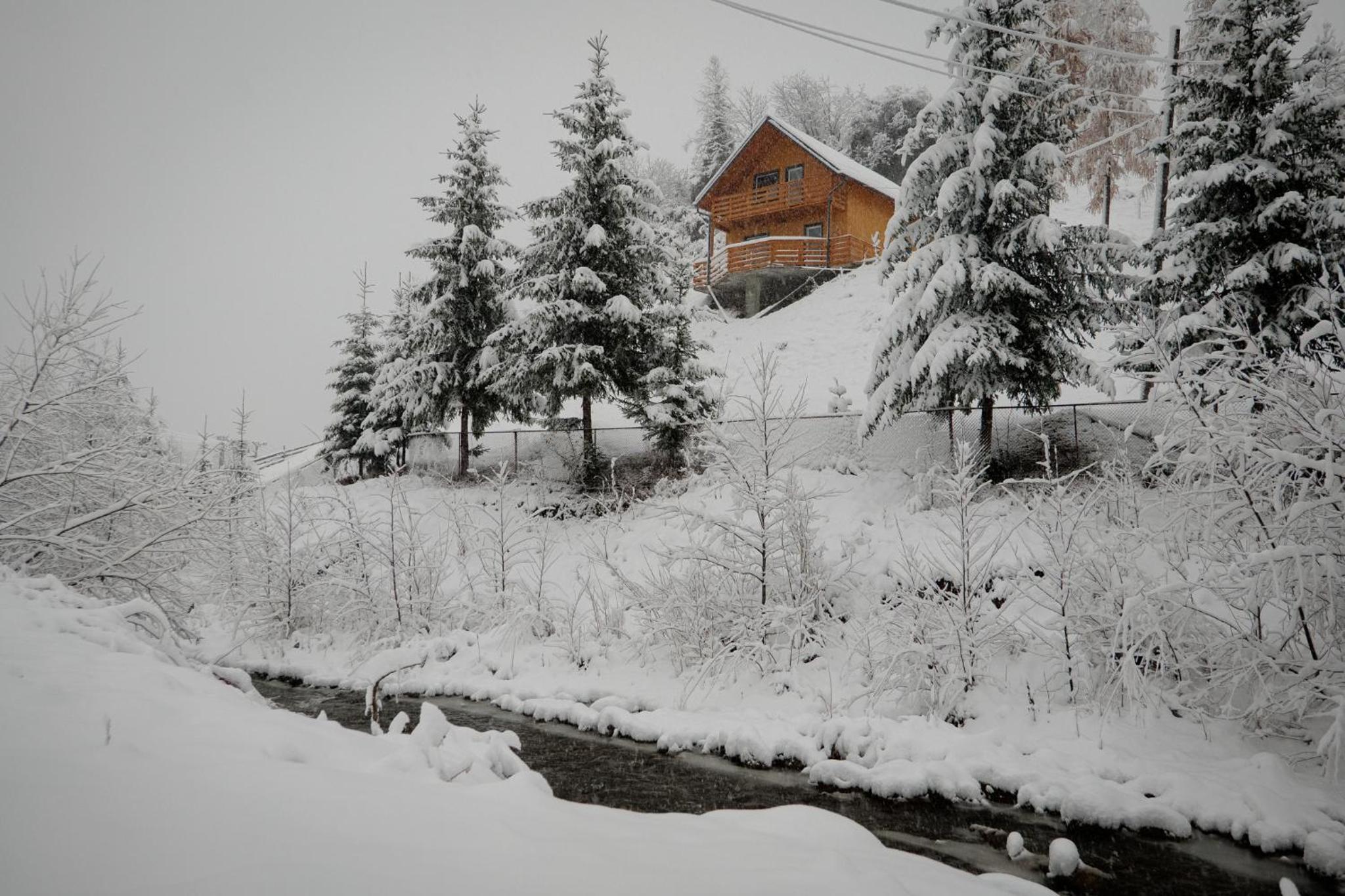 Village Brăduțu