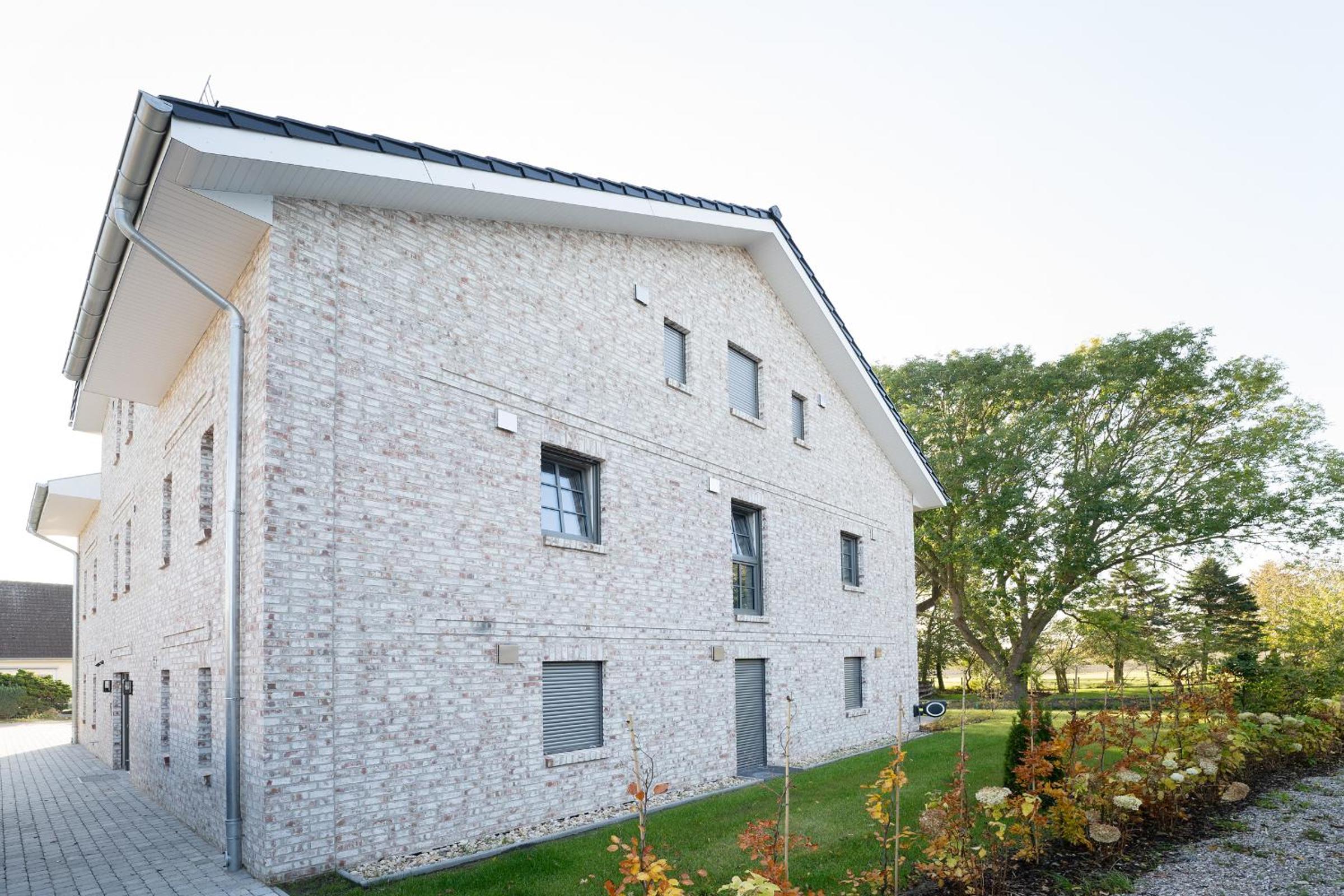 Heringsmöwe