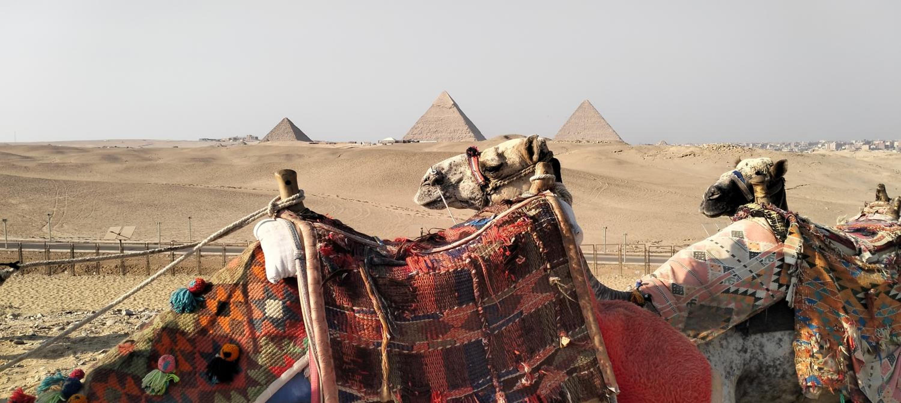 Royal Zeina Pyramids Inn