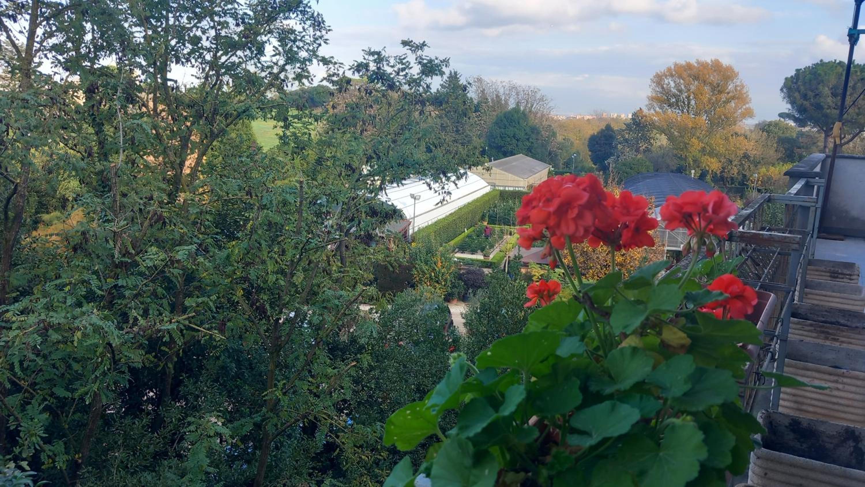 Roma Capitale B&B