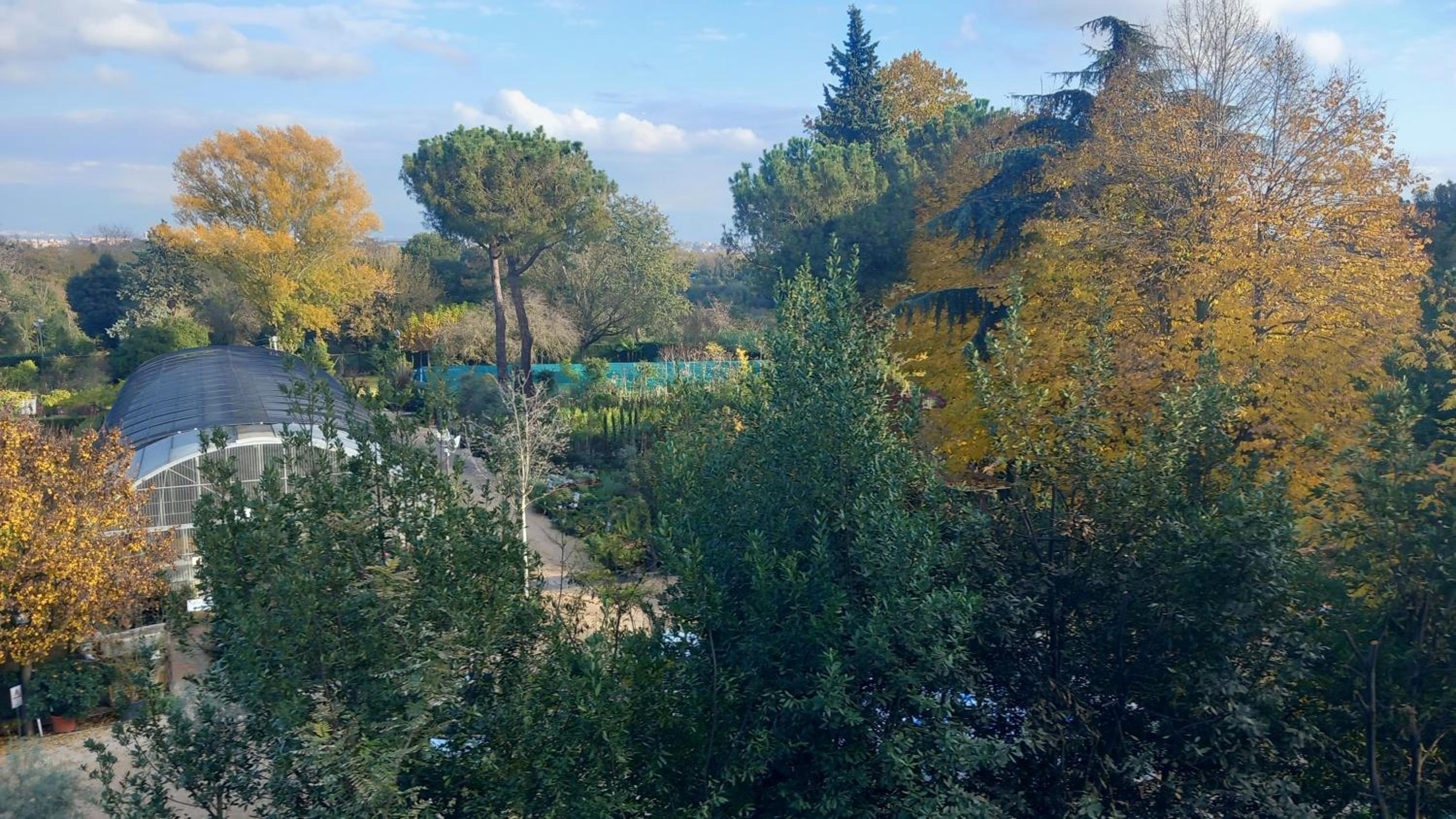Roma Capitale B&B