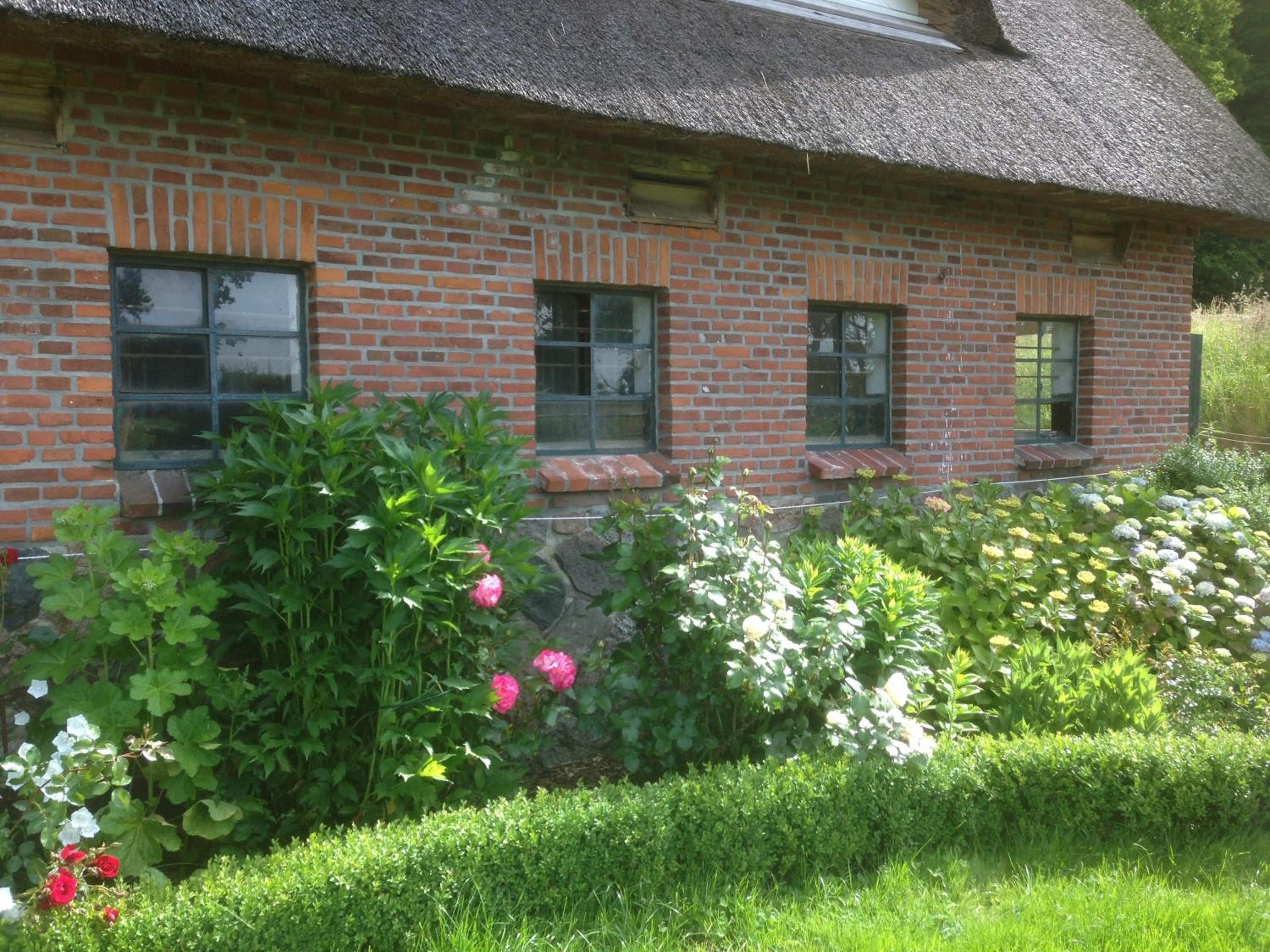 Hoheluft am Wittensee Apt 1