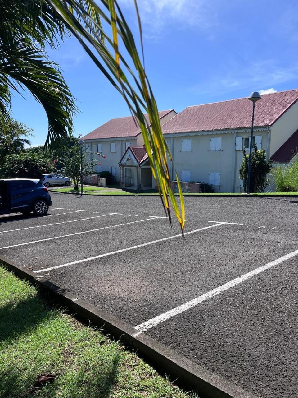Orchidée Guadeloupe