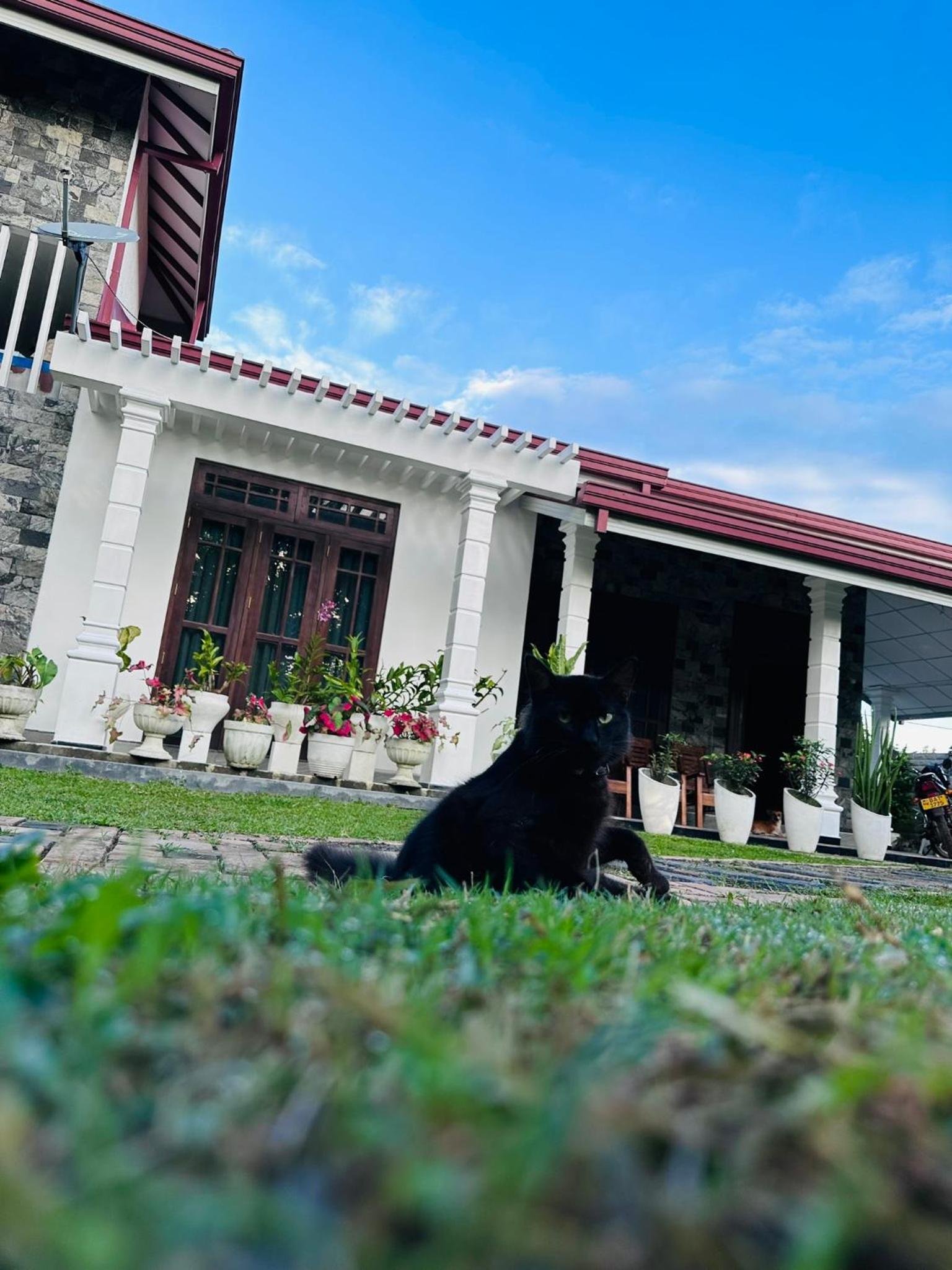 Suriya Homestay