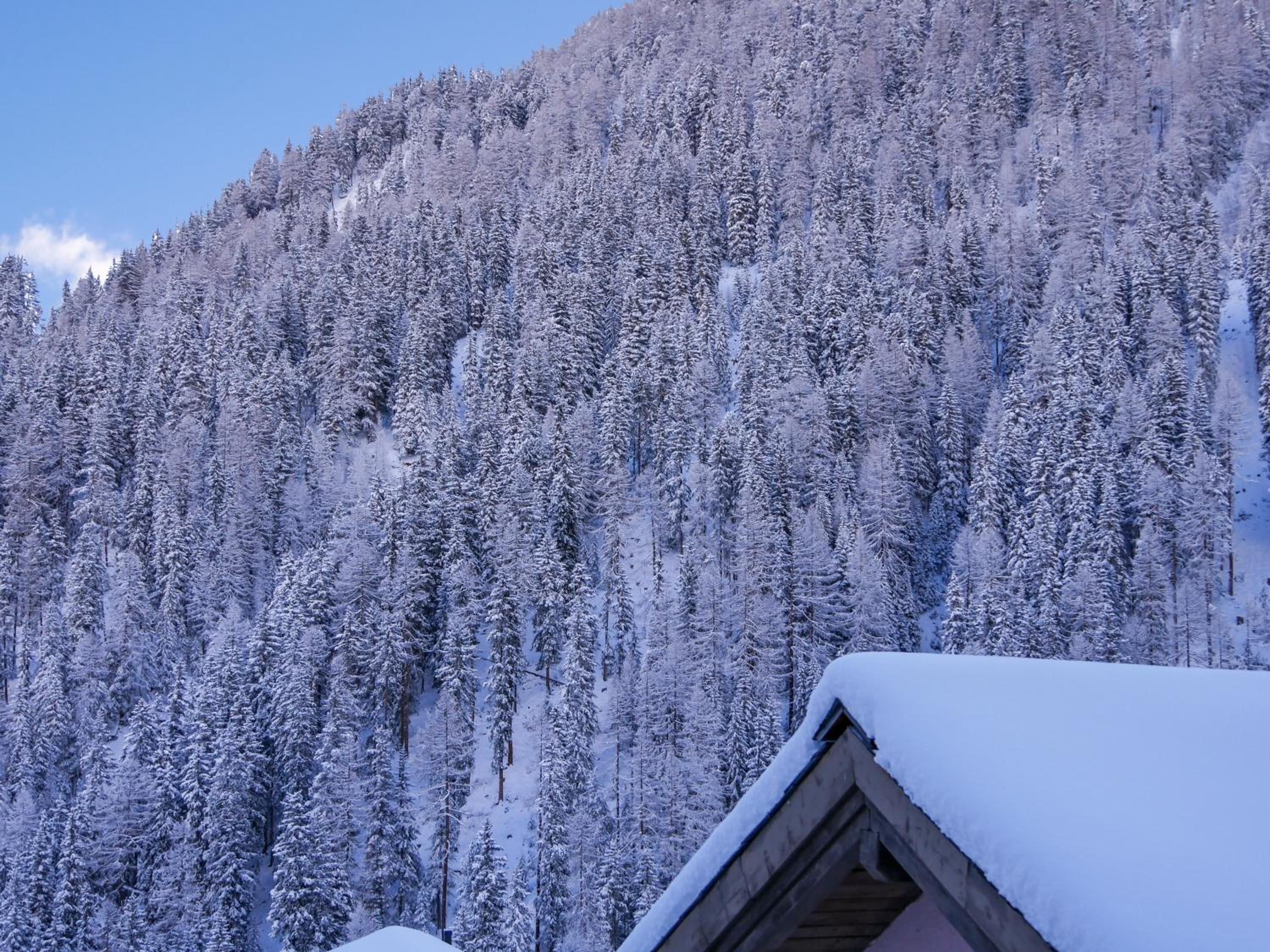 BERGWALDZAUBER - Haus zur Post