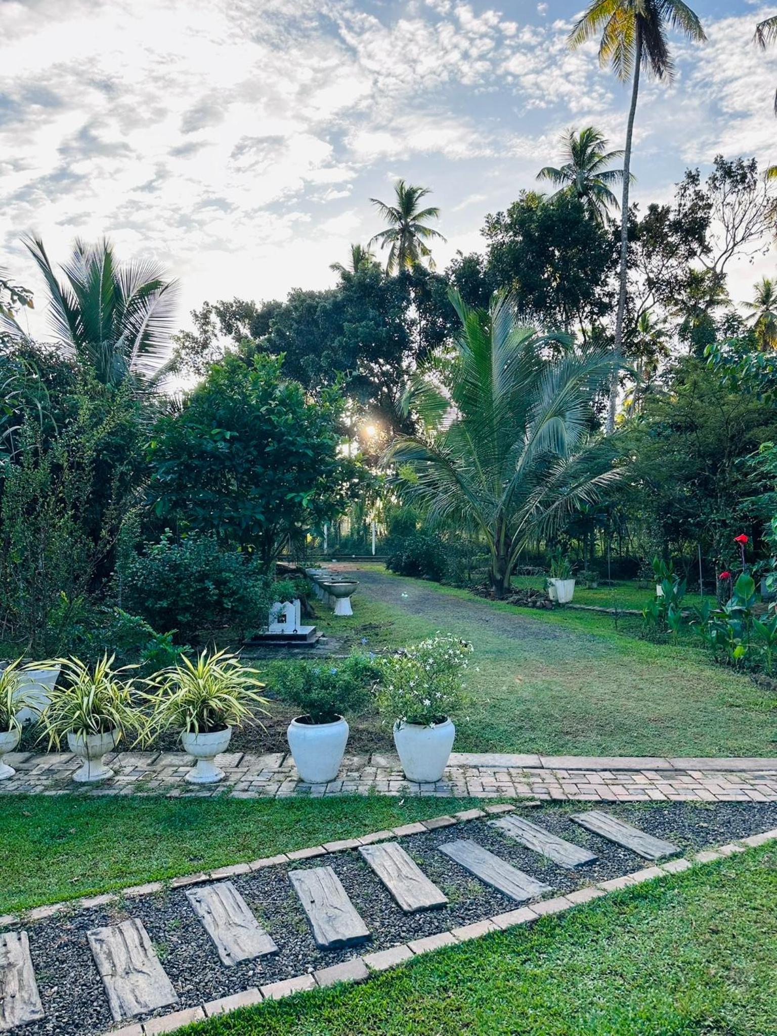 Suriya Homestay