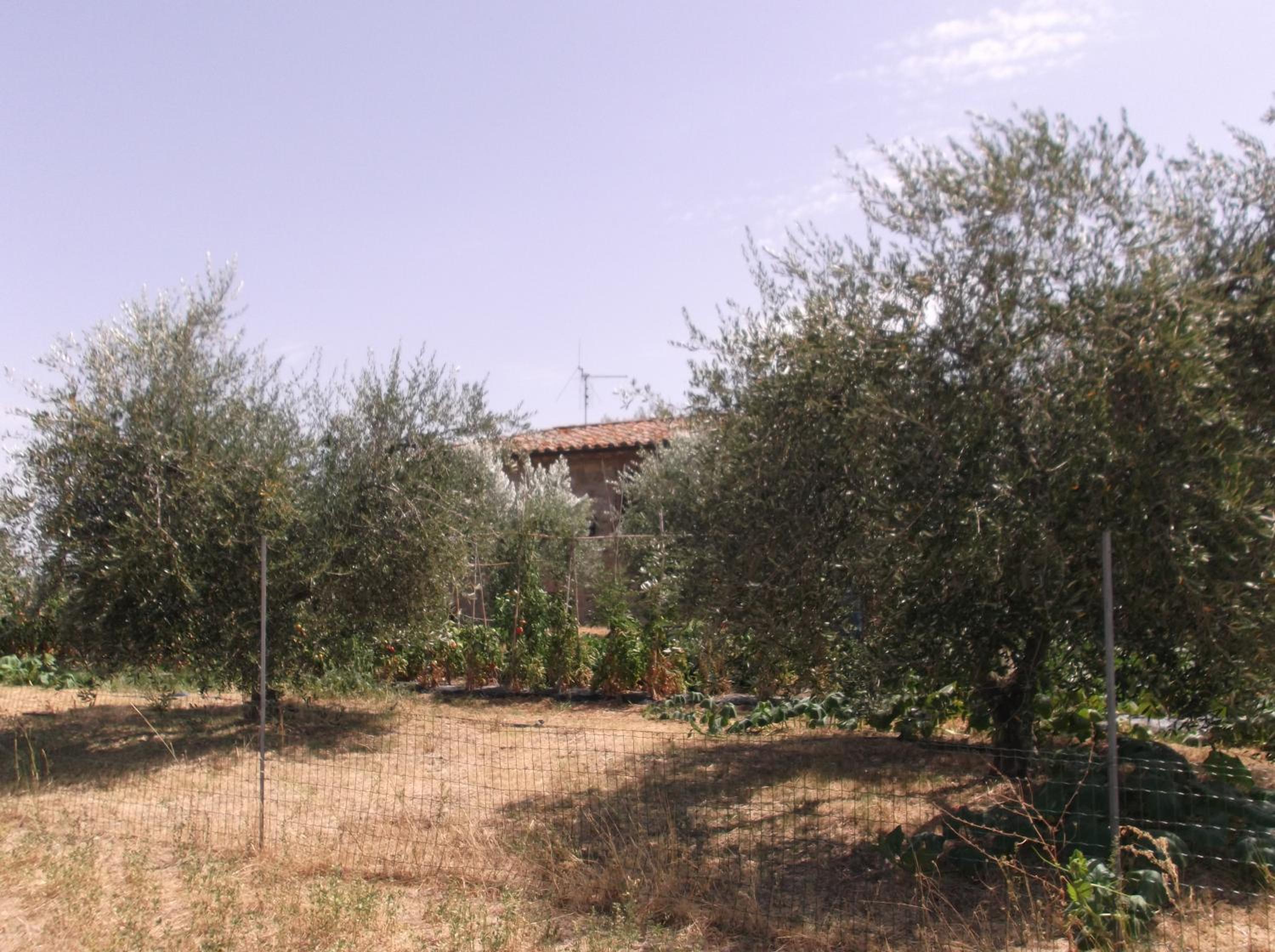 Locazione turistica ex Le Casette Di Cedromonte view 5