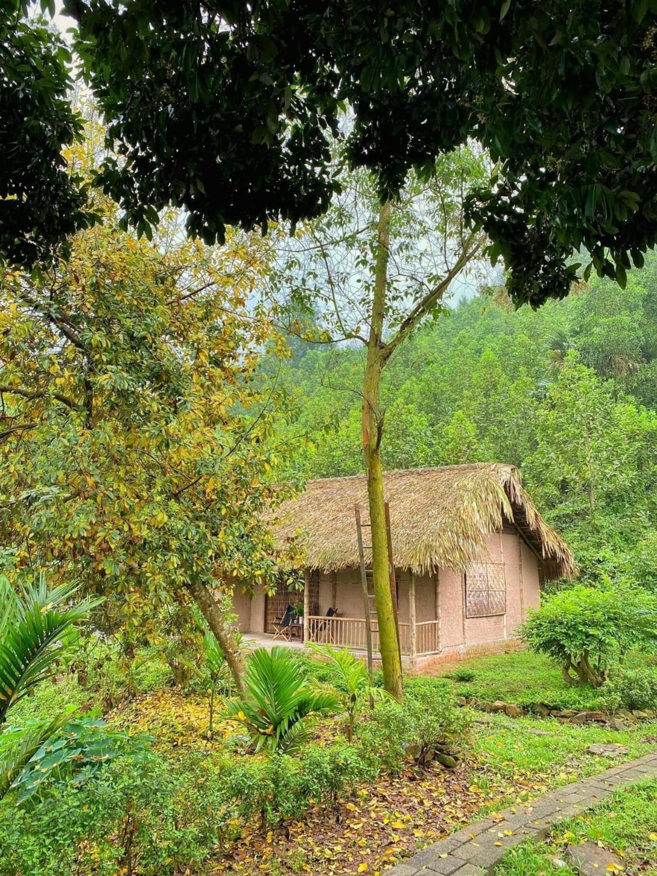 Photo 28