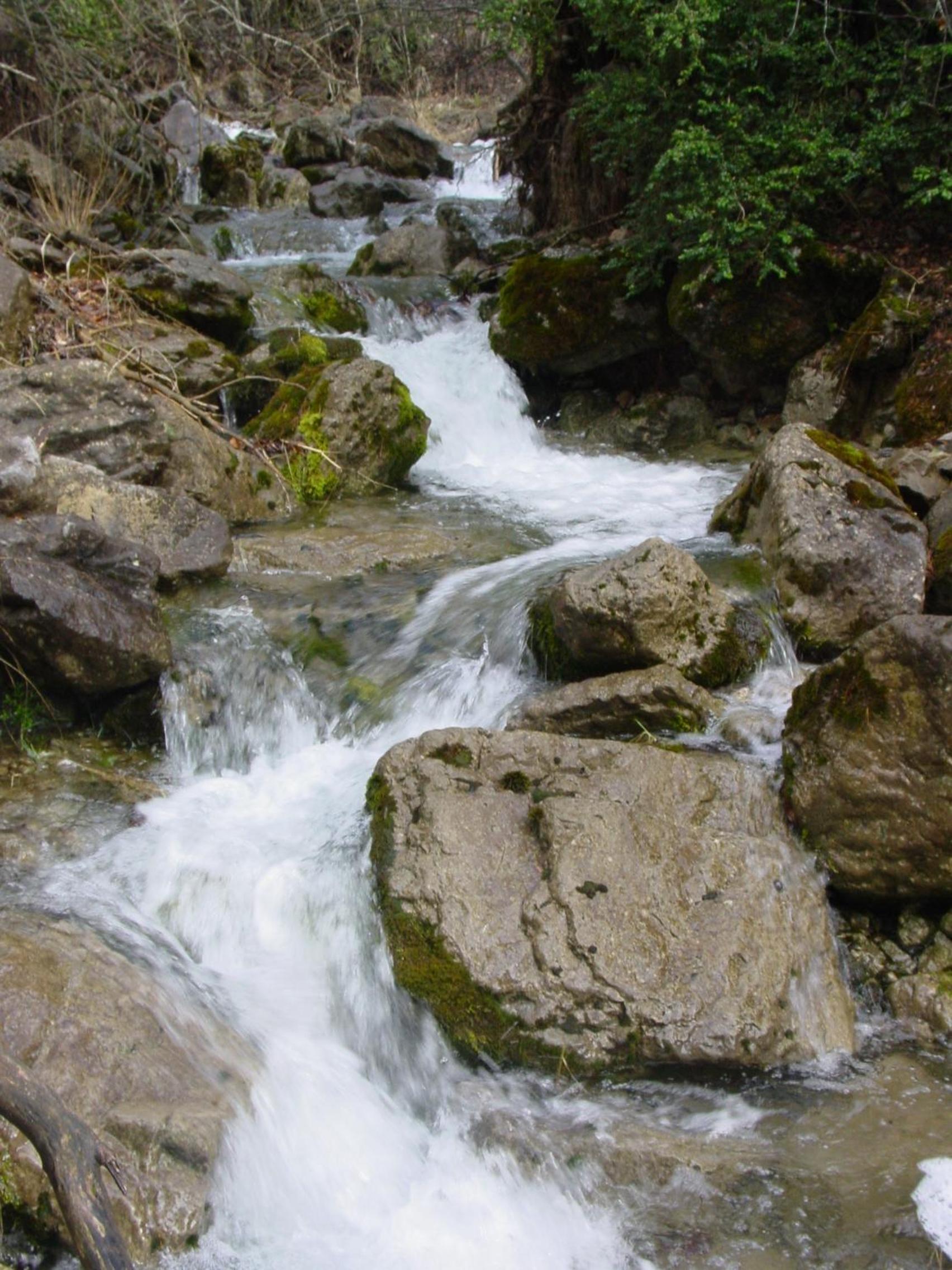 Photo 36