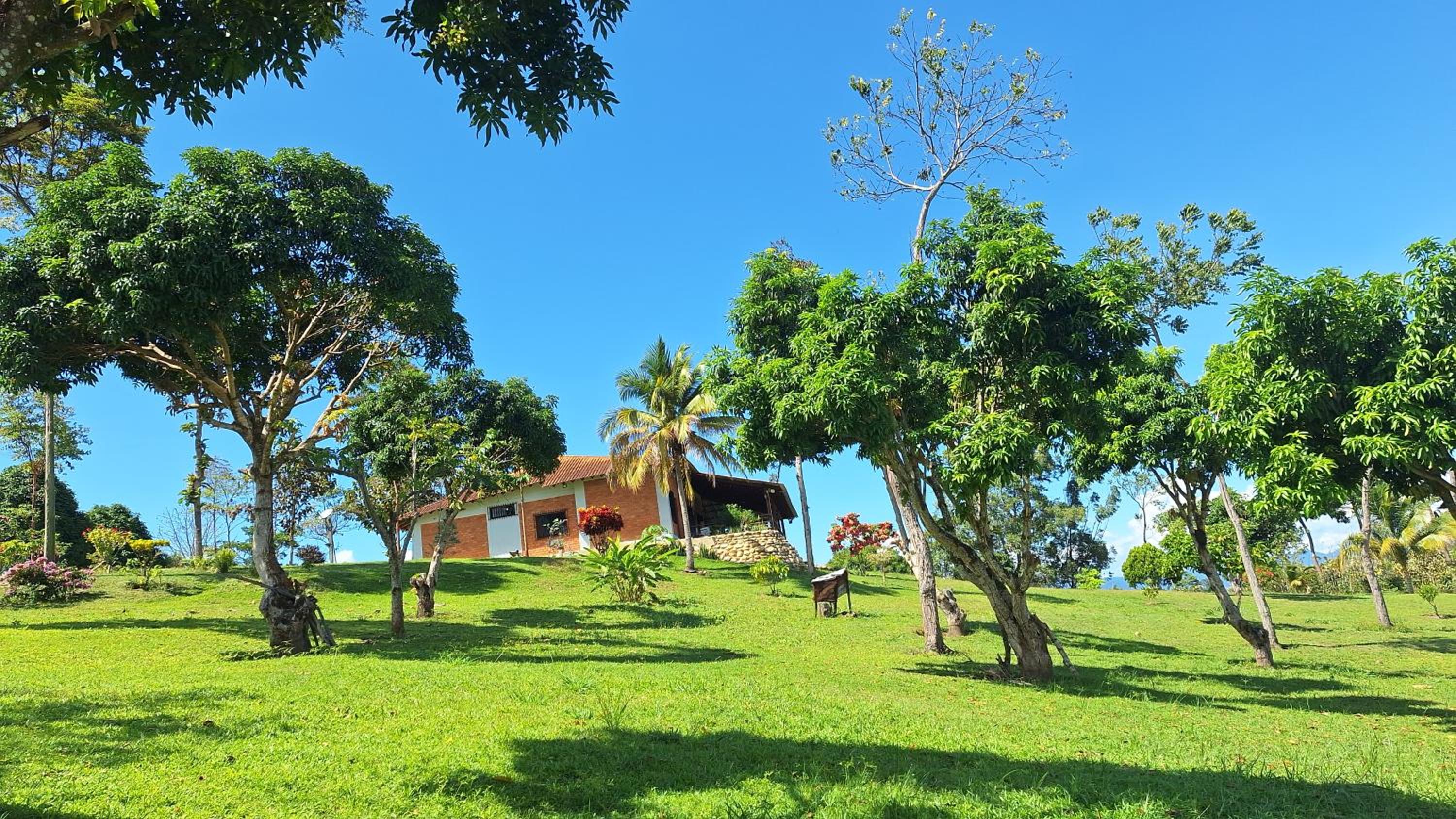 Bungalows Las Brisas de Pacchilla view 3