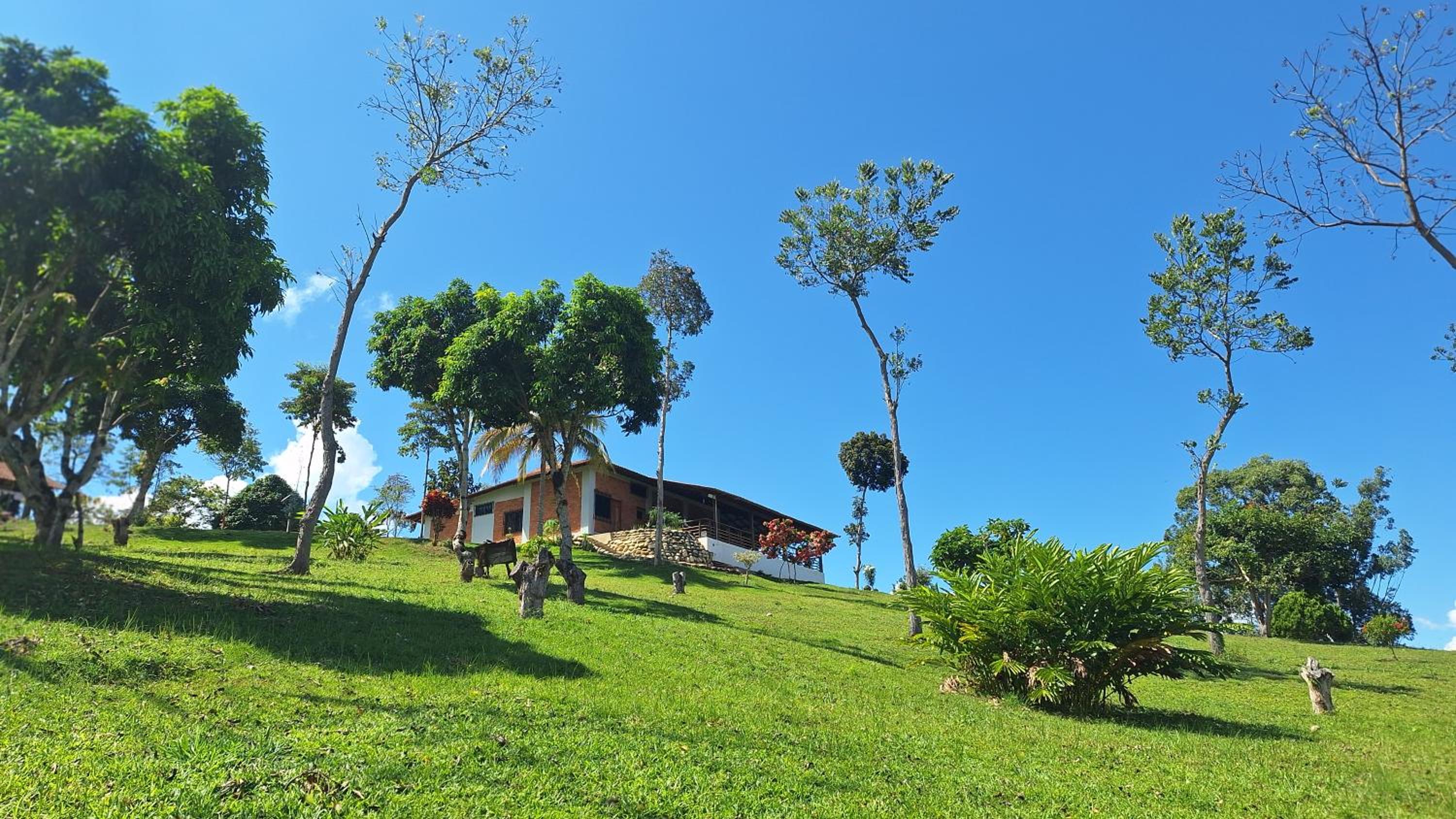 Bungalows Las Brisas de Pacchilla view 4