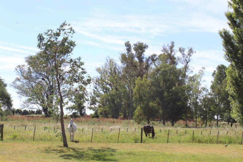 Casa de Campo Luján - Club de chacras El Argentino