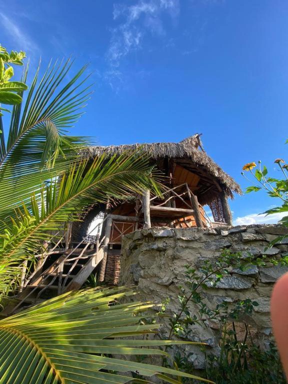 Encanto do Paraíso Experiência Sensorial