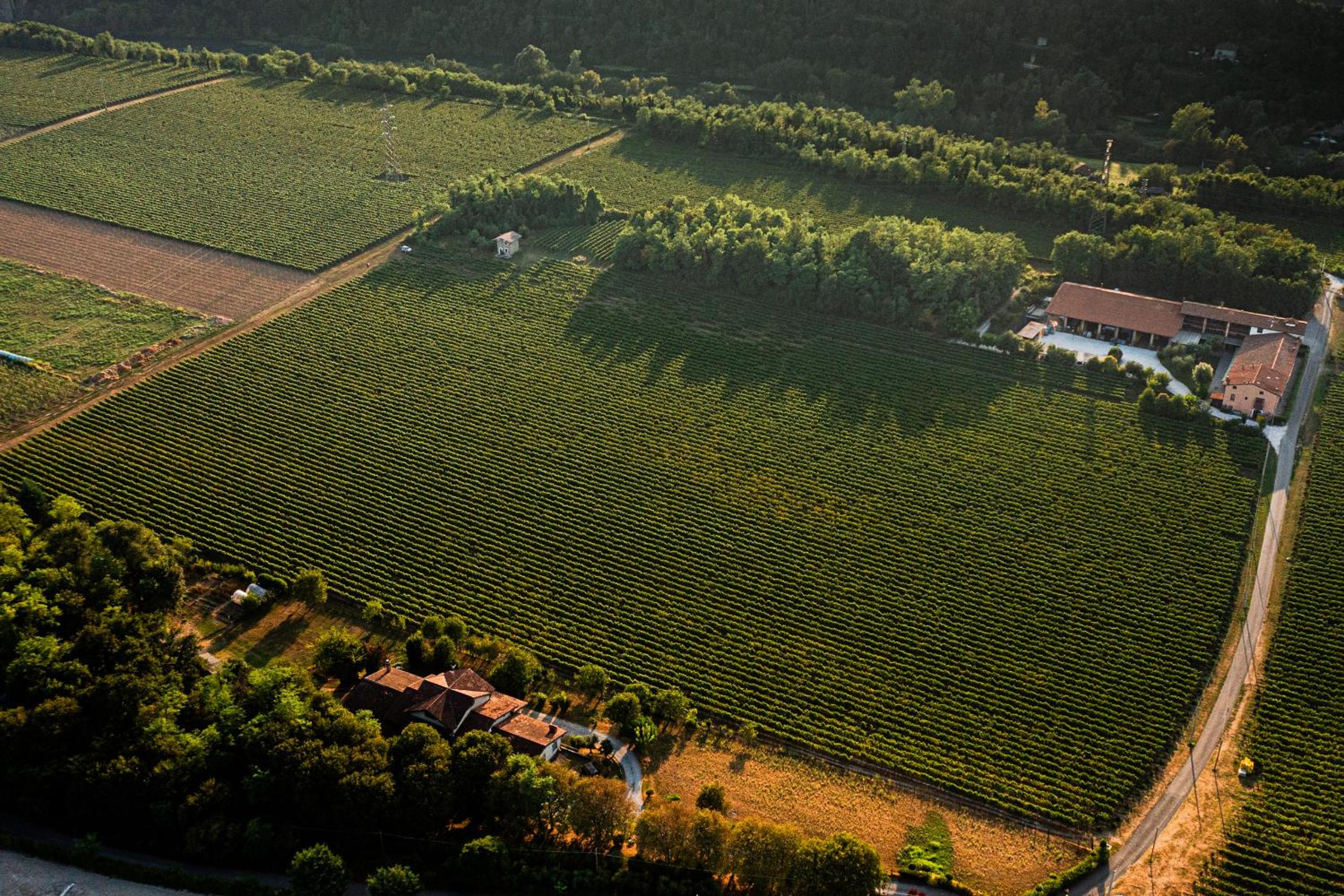 AGRITURISMO RIPA DEL BOSCO view 3
