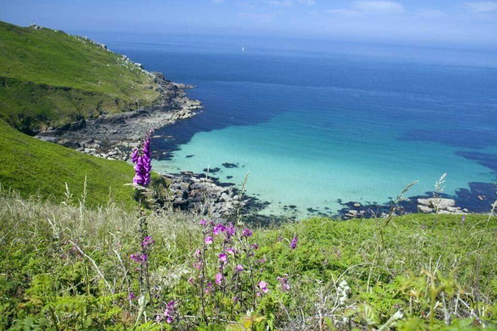 Modern Apartment nr Fistral Beach Private Parking view 3