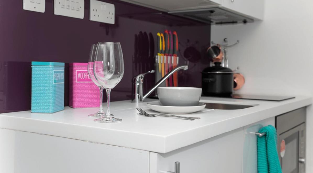 For Students Only Exclusive Modern Studios in the Heart of Londons Academic and Cultural Hub