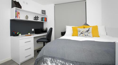 For Students Only Exclusive Modern Studios in the Heart of Londons Academic and Cultural Hub