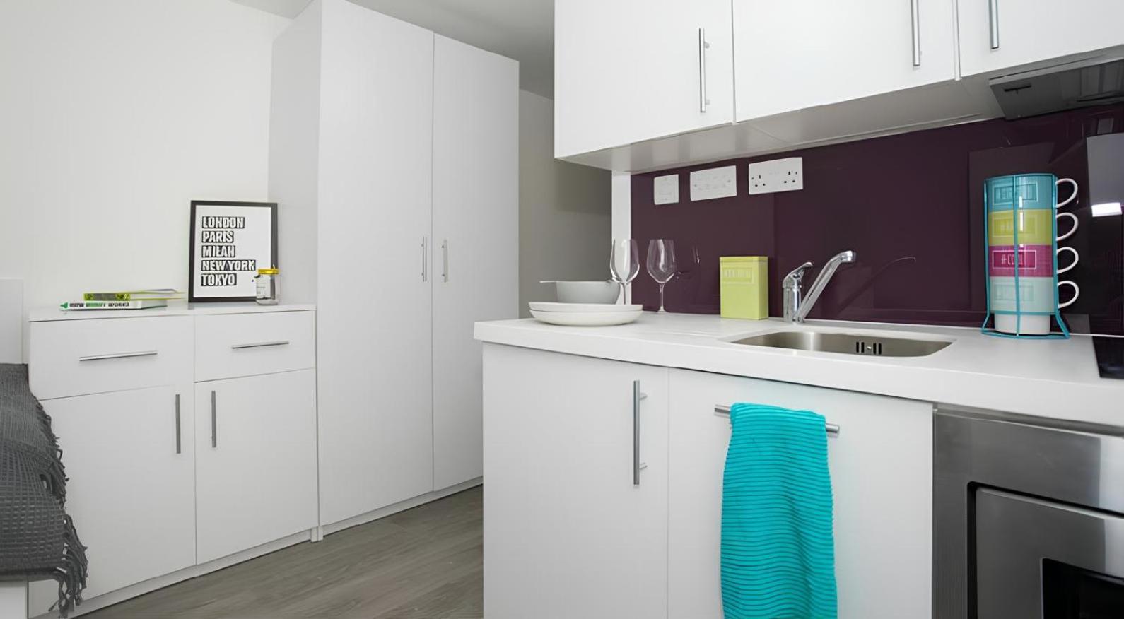 For Students Only Exclusive Modern Studios in the Heart of Londons Academic and Cultural Hub