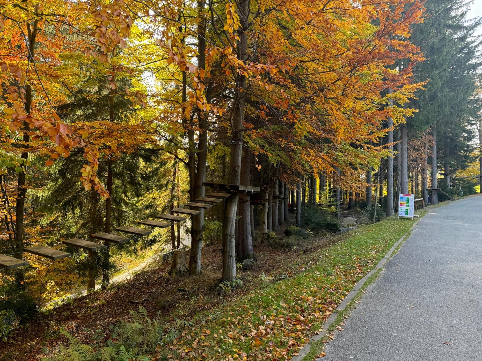 Dovolená bez starostí - Apartmán Bellevue