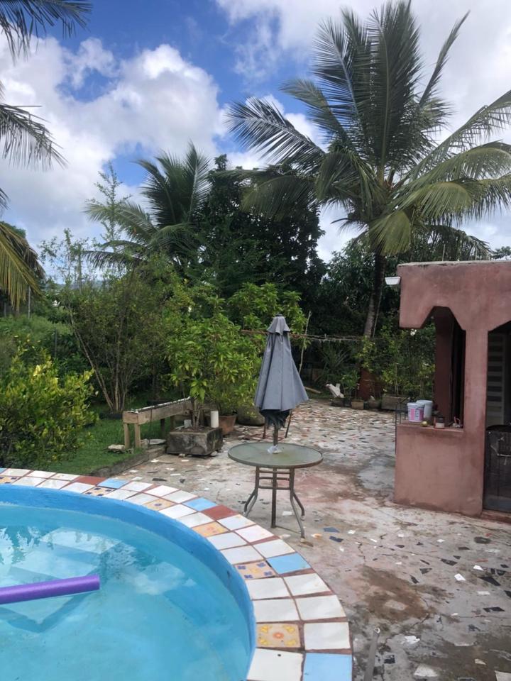 Butterfly Villa