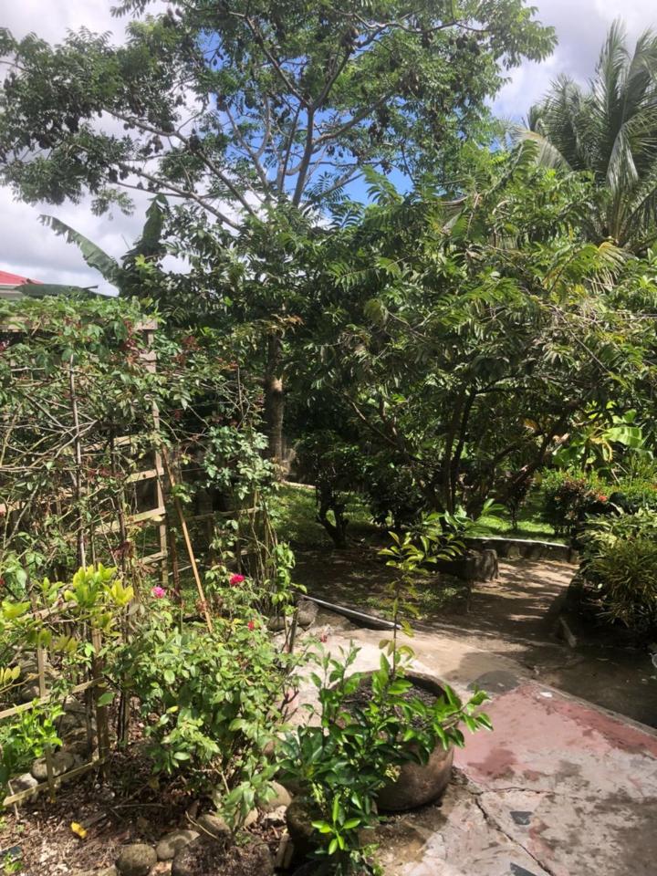 Butterfly Villa