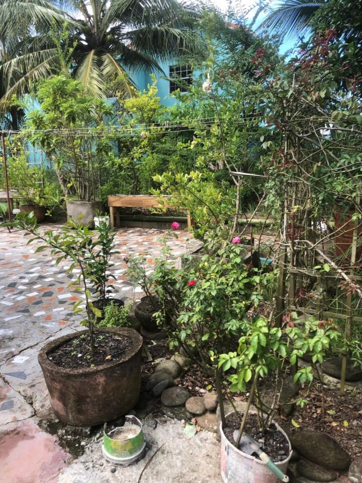Butterfly Villa