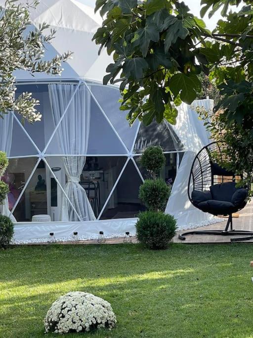 Ellie's Eco Private Glamping and Spa - Property Image 38