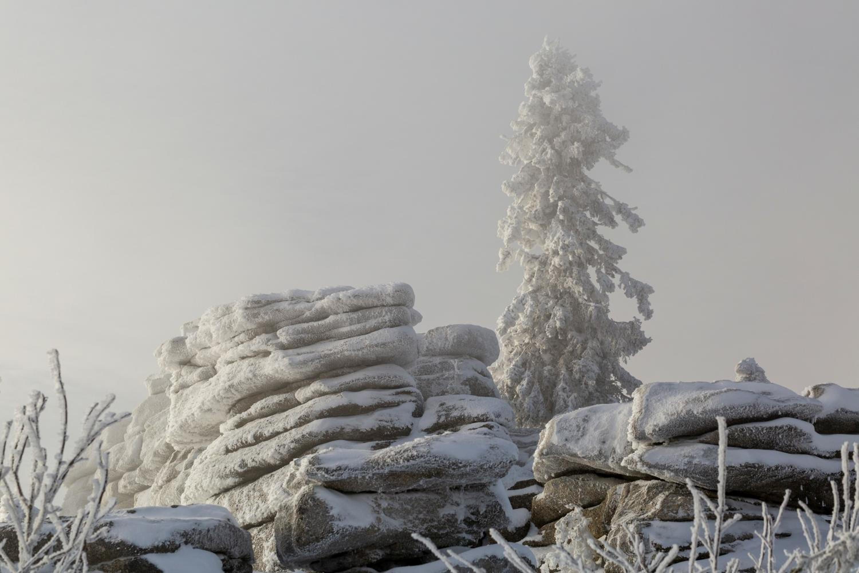 Ferienhaus im Bayerischen Wald - 